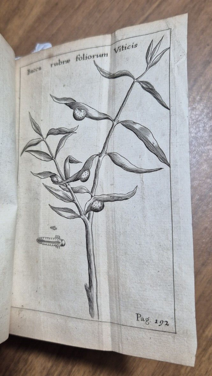 FRANCISCI REDI OPUSCULORUM + EXPERIMENTA + DE ADMIRABILI VIPERA 1685 …