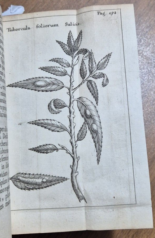 FRANCISCI REDI OPUSCULORUM + EXPERIMENTA + DE ADMIRABILI VIPERA 1685 …