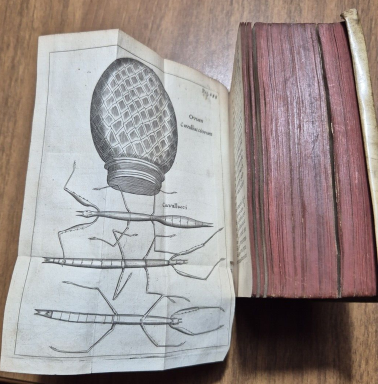 FRANCISCI REDI OPUSCULORUM + EXPERIMENTA + DE ADMIRABILI VIPERA 1685 …