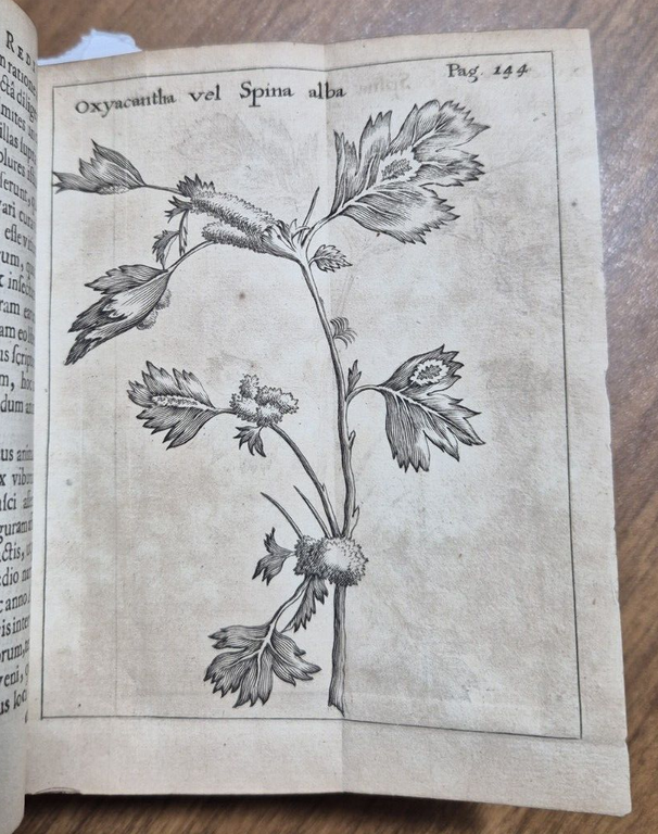 FRANCISCI REDI OPUSCULORUM + EXPERIMENTA + DE ADMIRABILI VIPERA 1685 …