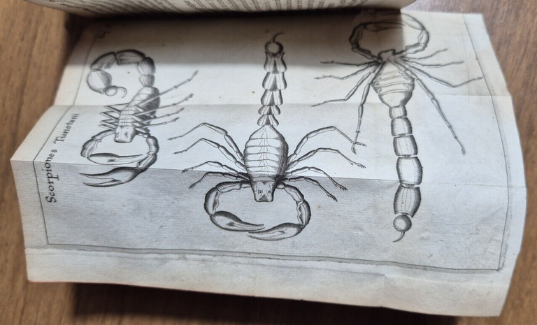 FRANCISCI REDI OPUSCULORUM + EXPERIMENTA + DE ADMIRABILI VIPERA 1685 …