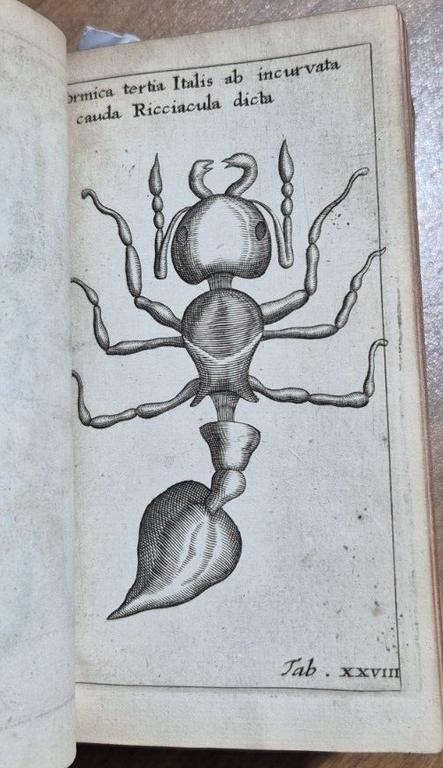 FRANCISCI REDI OPUSCULORUM + EXPERIMENTA + DE ADMIRABILI VIPERA 1685 …