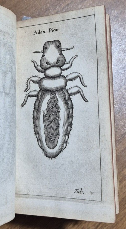 FRANCISCI REDI OPUSCULORUM + EXPERIMENTA + DE ADMIRABILI VIPERA 1685 …