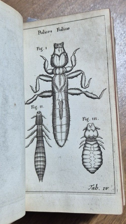 FRANCISCI REDI OPUSCULORUM + EXPERIMENTA + DE ADMIRABILI VIPERA 1685 …