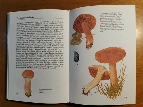 FUNGHI di Georges Becker Illustrazioni di Bohumil Vancura 1986 libro …