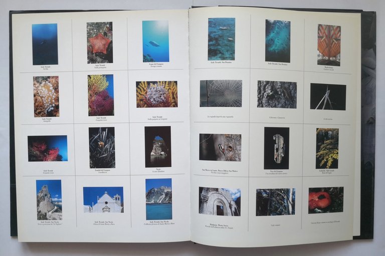 GARGANO SACRO DI NATURA a cura Claudio Grenzi 2002 Libro …