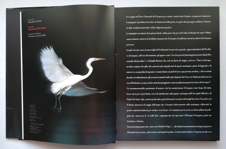 GARGANO SACRO DI NATURA a cura Claudio Grenzi 2002 Libro …