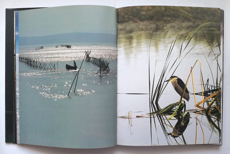 GARGANO SACRO DI NATURA a cura Claudio Grenzi 2002 Libro …