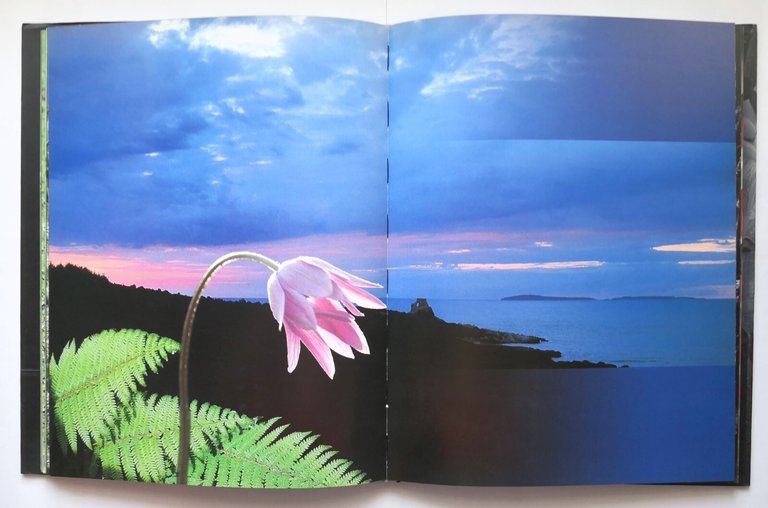 GARGANO SACRO DI NATURA a cura Claudio Grenzi 2002 Libro …