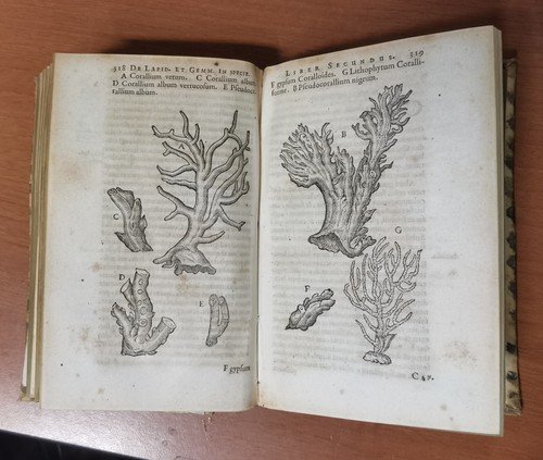 GEMMARUM ET LAPIDUM HISTORIA di Anselmus Boetius De Boot 1647 …