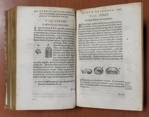 GEMMARUM ET LAPIDUM HISTORIA di Anselmus Boetius De Boot 1647 …