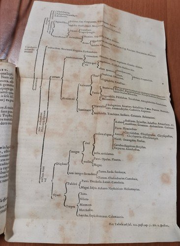 GEMMARUM ET LAPIDUM HISTORIA di Anselmus Boetius De Boot 1647 …