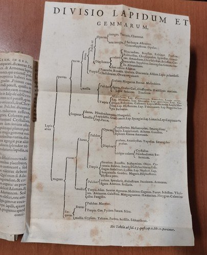 GEMMARUM ET LAPIDUM HISTORIA di Anselmus Boetius De Boot 1647 …
