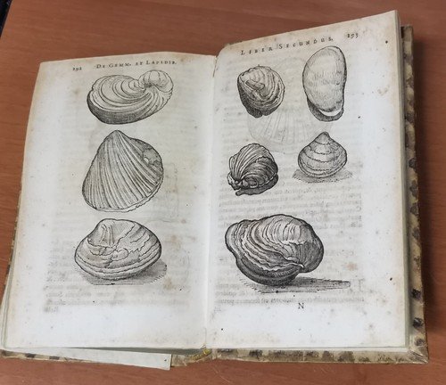 GEMMARUM ET LAPIDUM HISTORIA di Anselmus Boetius De Boot 1647 …