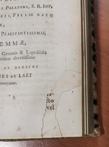 GEMMARUM ET LAPIDUM HISTORIA di Anselmus Boetius De Boot 1647 …