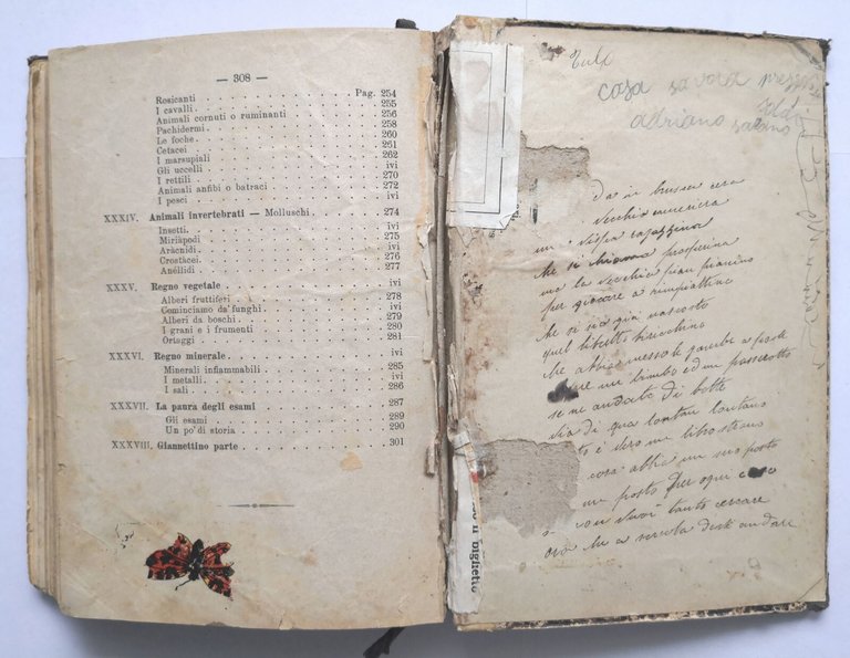GIANNETTINO di Carlo Collodi 1897 Bemporad libro per ragazzi scolastico …