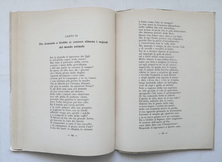 GIOBBE E IL CANTICO DEI CANTICI nella versione di Vito …