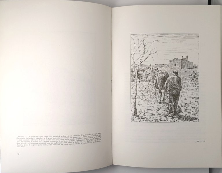 GIOIA DEL COLLE VISTA DAL PITTORE RAFFAELE VAN WESTERHOUT 1977 …