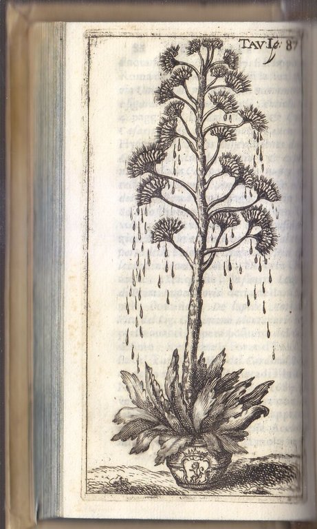 GIORNALE DE LETTERATI D'ITALIA Tomi 2 - 3 - 4 …