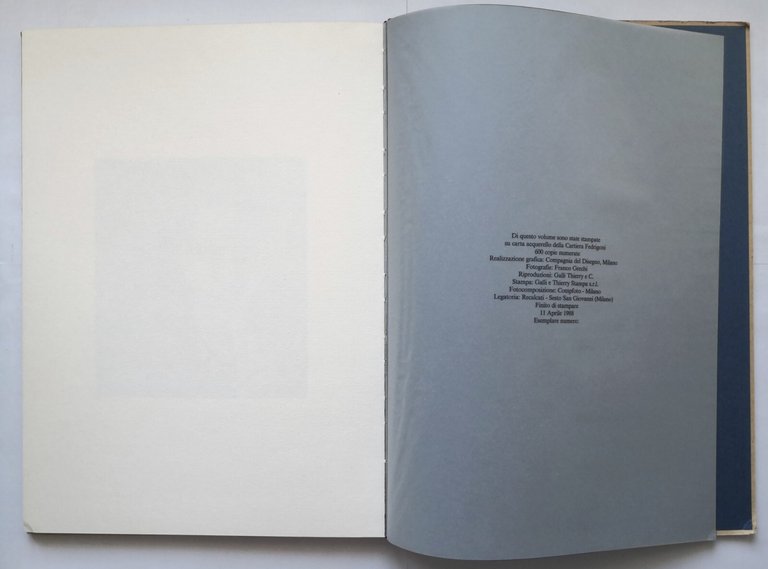 GIOVANNI TESTORI FRANGI MILANO 1988 Compagnia del Disegno Libro arte …