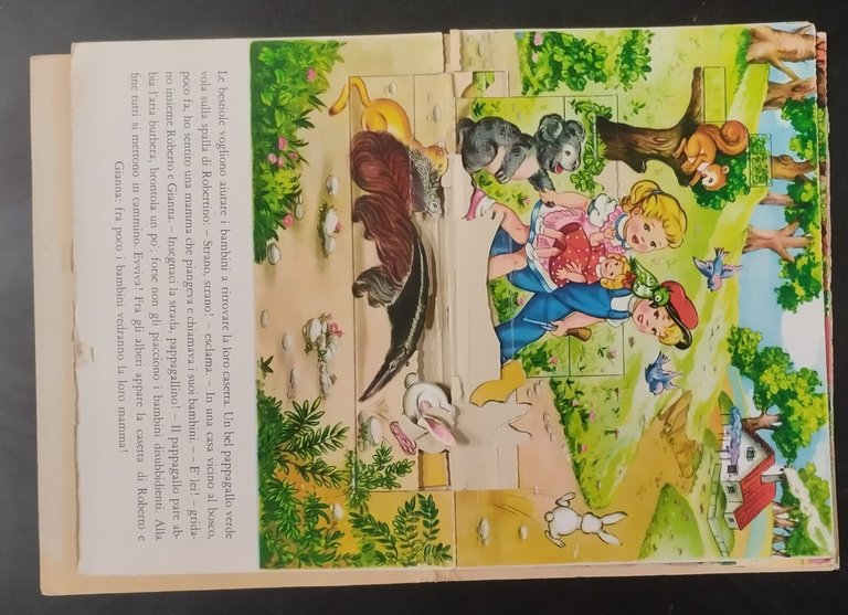 GITA NEL BOSCO Collana Favorita di Charlotte Penn Piccoli Libro …