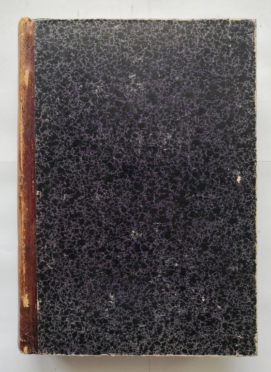 GIUSEPPE MAZZINI di Pietro De Nardi 1872 Libro antico biografia …