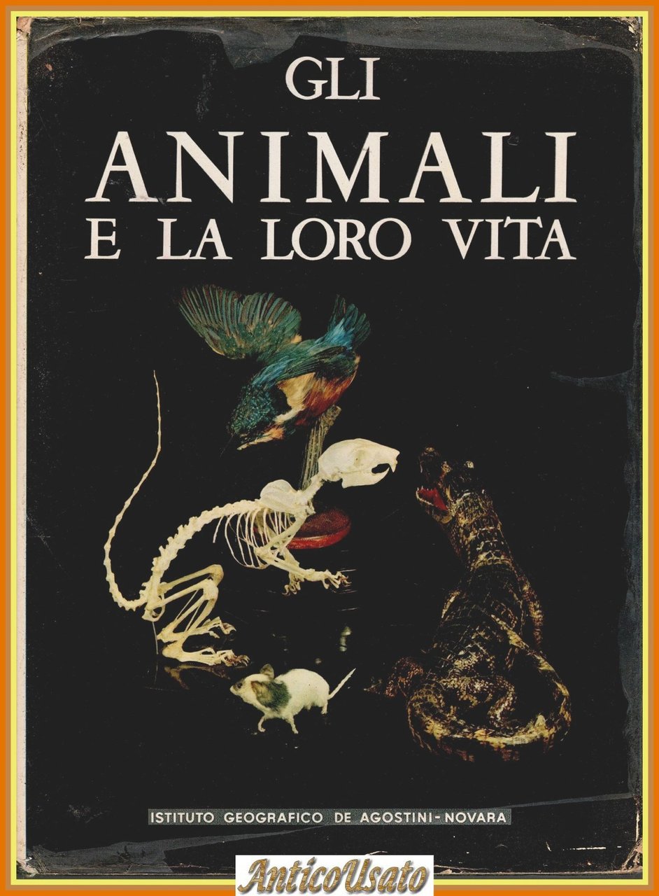 GLI ANIMALI E LA LORO VITA volume 2 di Leon … | Immagine principale