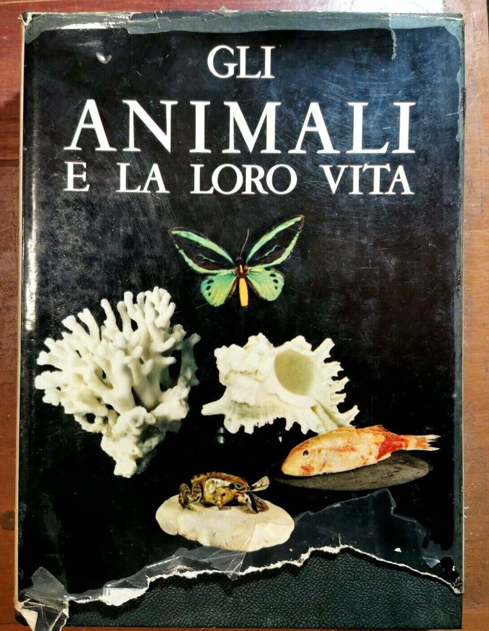 GLI ANIMALI E LA LORO VITA volume I di Leon …