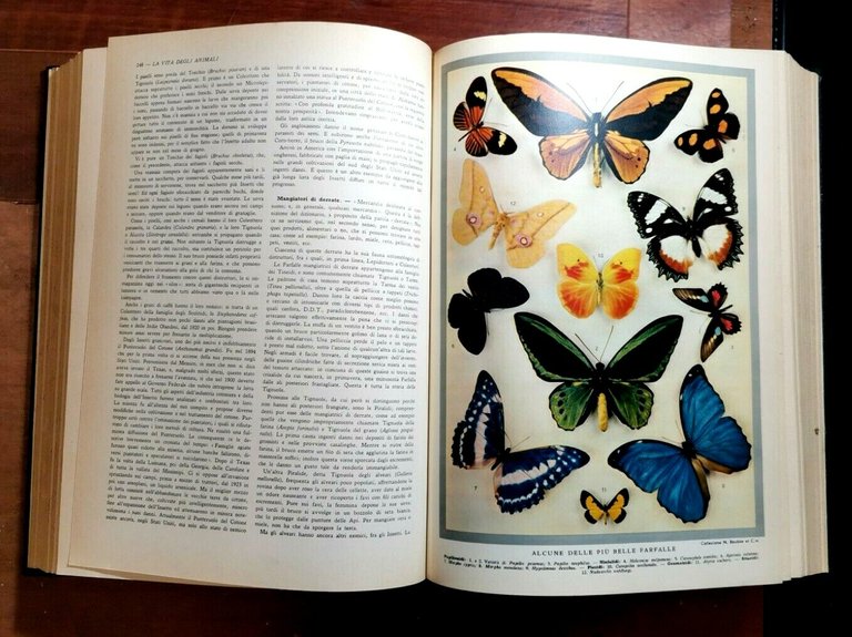 GLI ANIMALI E LA LORO VITA volume I di Leon …