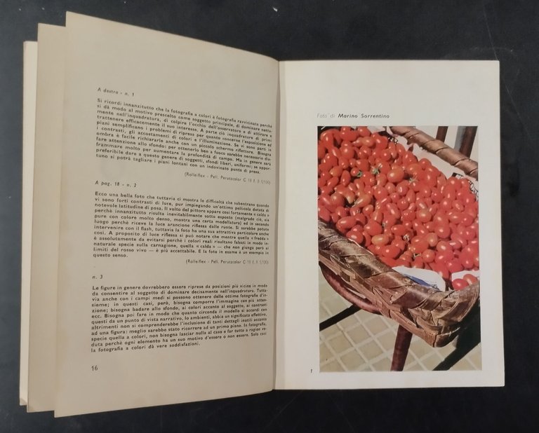 GLI ESTERNI A COLORI FOTOGUIDA di George Wells Del Castello …