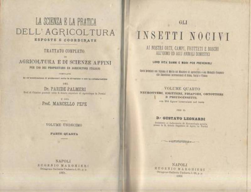 GLI INSETTI NOCIVI Volume IV neurotteri emitteri fisapodi 1901 Marghieri …