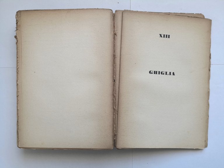 GLI OPERAI DELLA VIGNA di Giovanni Papini 1929 Vallecchi Libro …