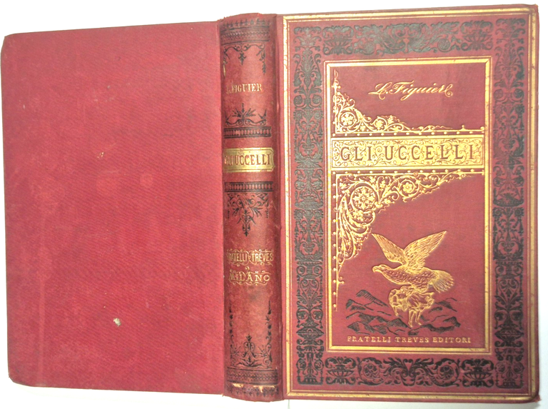 GLI UCCELLI di Luigi Figuier 1892 Fratelli Treves Libro illustrato … | Immagine Gallery 2