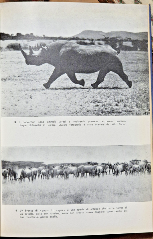 GRANDI AVVENTURE DI CACCIA Alexander Lake 1964 Garzanti Libro Africa …