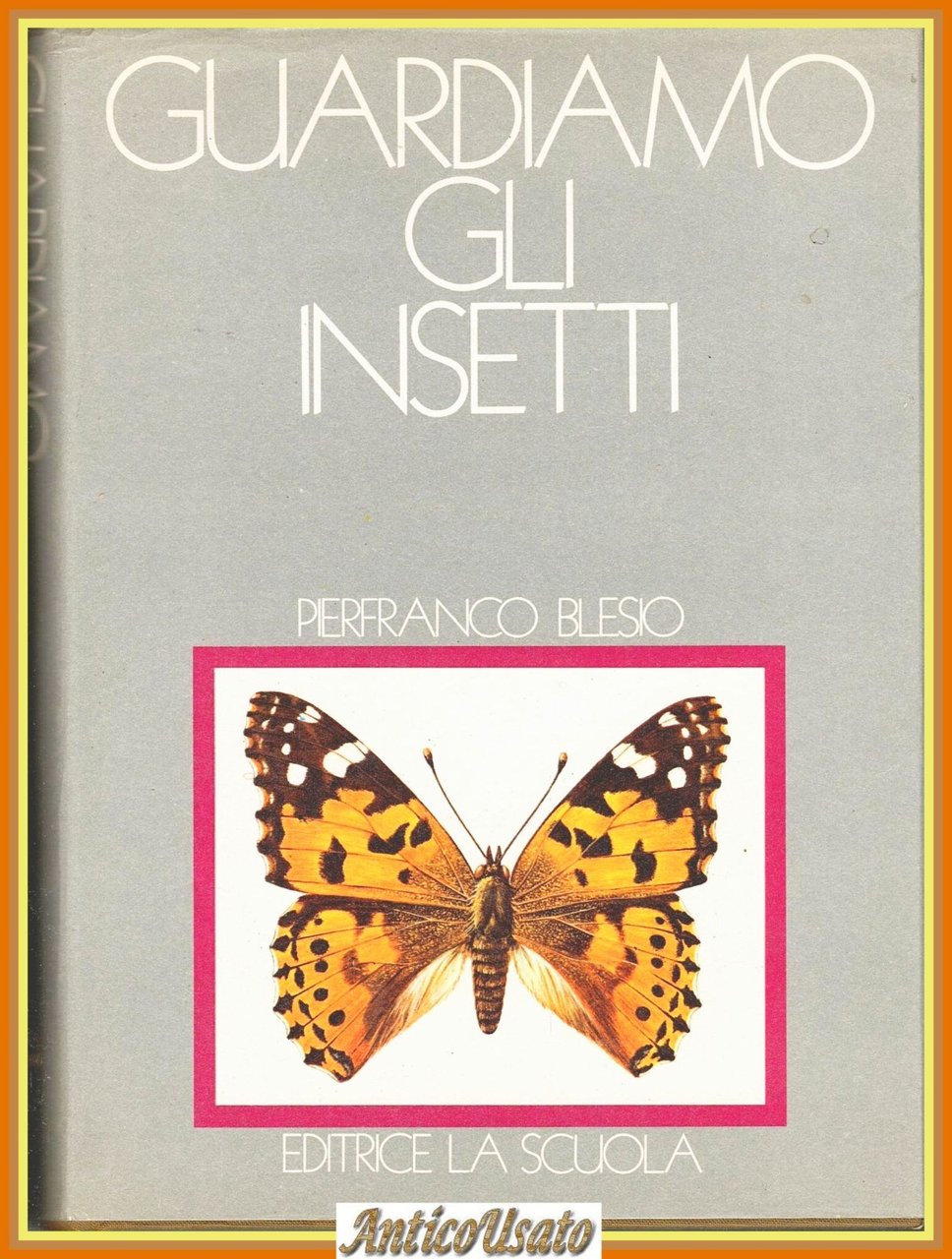 GUARDIAMO GLI INSETTI di Pierfranco Blesio 1976 La Scuola Libro … | Immagine principale