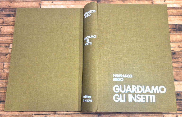 GUARDIAMO GLI INSETTI di Pierfranco Blesio 1976 La Scuola Libro … | Immagine Gallery 3