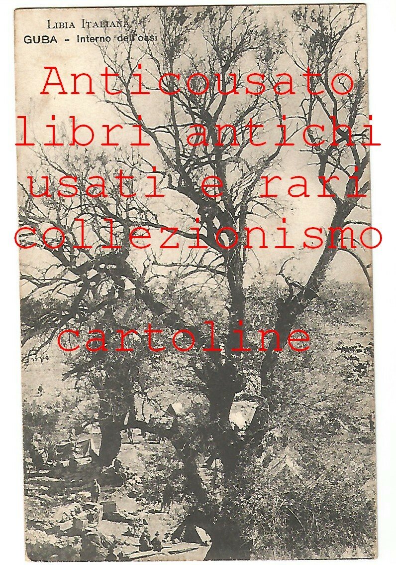 GUBA interno dell'oasi Libia Italiana Cartolina non viaggiata Vintage Africa