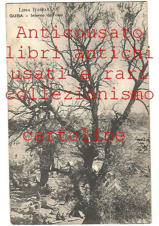 GUBA interno dell'oasi Libia Italiana Cartolina non viaggiata Vintage Africa | Immagine Gallery 1