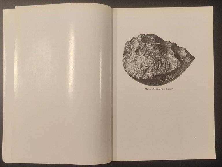 GUIDA DEL MUSEO CIVICO DI PALEONTOLOGIA MAGLIE De Donno Lorentiis …
