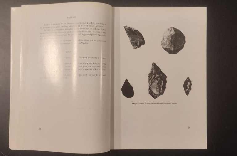 GUIDA DEL MUSEO CIVICO DI PALEONTOLOGIA MAGLIE De Donno Lorentiis …