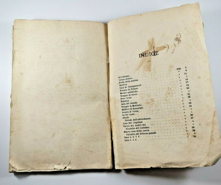 GUIDA DI POMPEI con PIANTA TOPOGRAFICA scavi 1869 Napoli libro … | Immagine Gallery 8