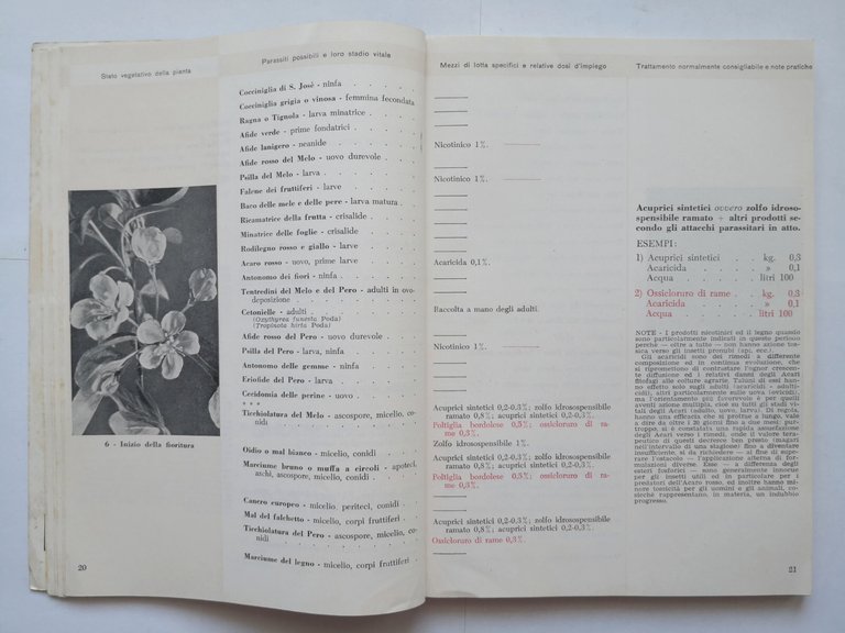 GUIDA TRATTAMENTI ANTIPARASSITARI di Rui e Bellavite 1957 libro manuale …