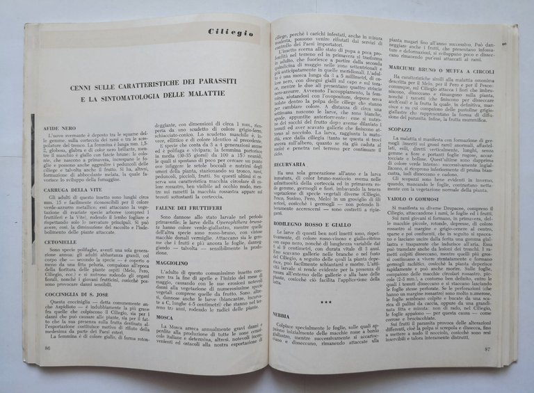 GUIDA TRATTAMENTI ANTIPARASSITARI di Rui e Bellavite 1957 libro manuale …