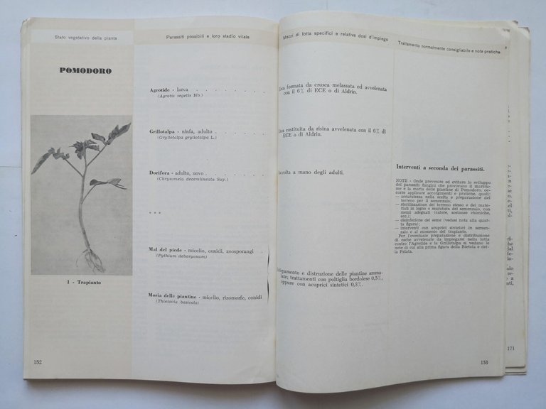 GUIDA TRATTAMENTI ANTIPARASSITARI di Rui e Bellavite 1957 libro manuale …