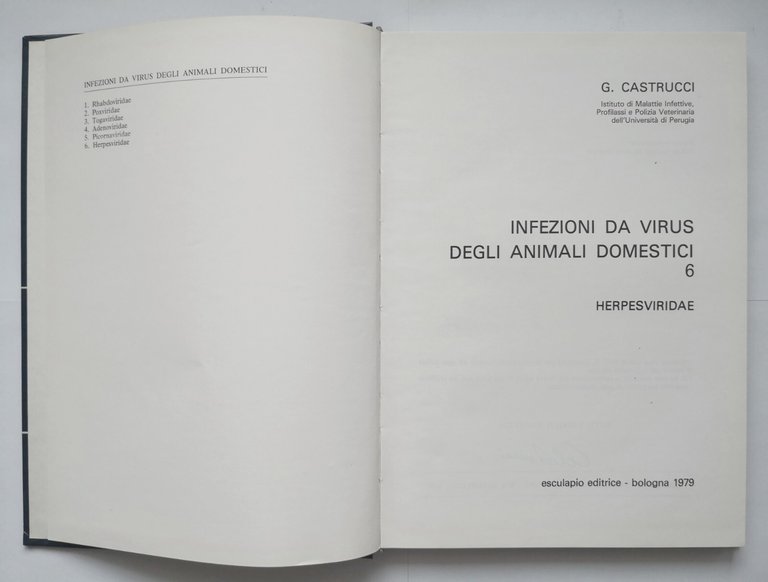 HERPESVIRIDAE di Castrucci 1979 INFEZIONI DA VIRUS DEGLI ANIMALI DOMESTICI …