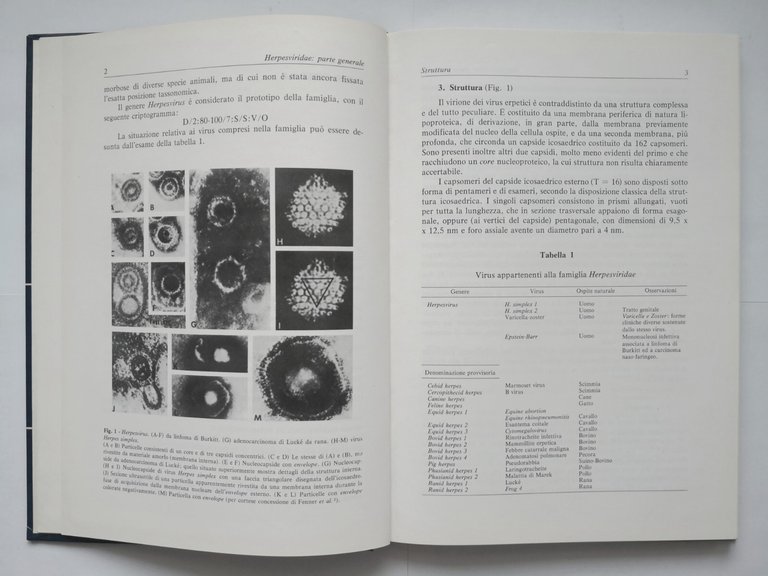 HERPESVIRIDAE di Castrucci 1979 INFEZIONI DA VIRUS DEGLI ANIMALI DOMESTICI …
