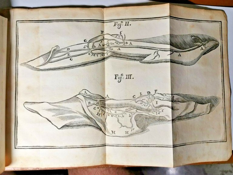 HISTORIAE DUAE ANEURYSMATUM di Carlo Guattani 1745 libro antico medicina …