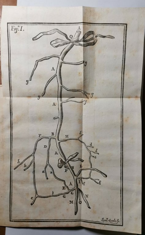 HISTORIAE DUAE ANEURYSMATUM di Carlo Guattani 1745 libro antico medicina …