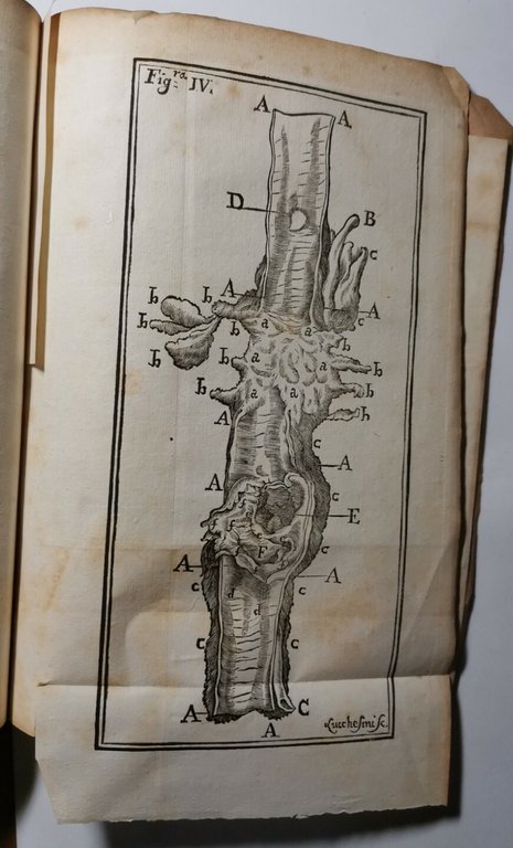 HISTORIAE DUAE ANEURYSMATUM di Carlo Guattani 1745 libro antico medicina …