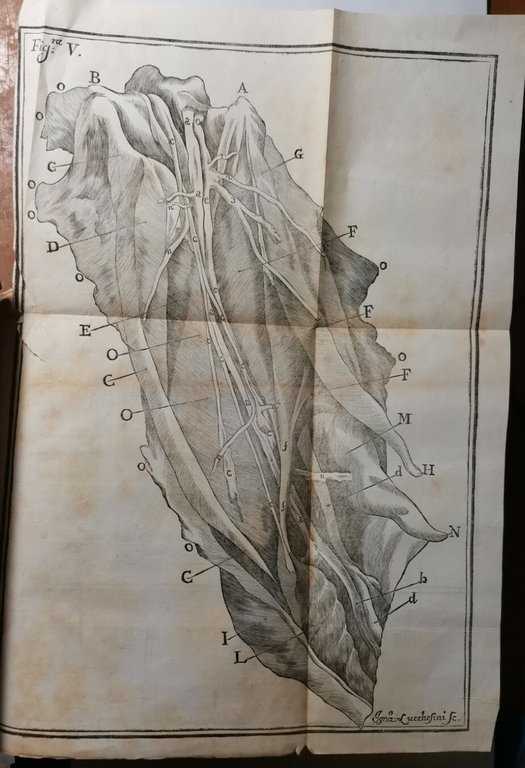 HISTORIAE DUAE ANEURYSMATUM di Carlo Guattani 1745 libro antico medicina …